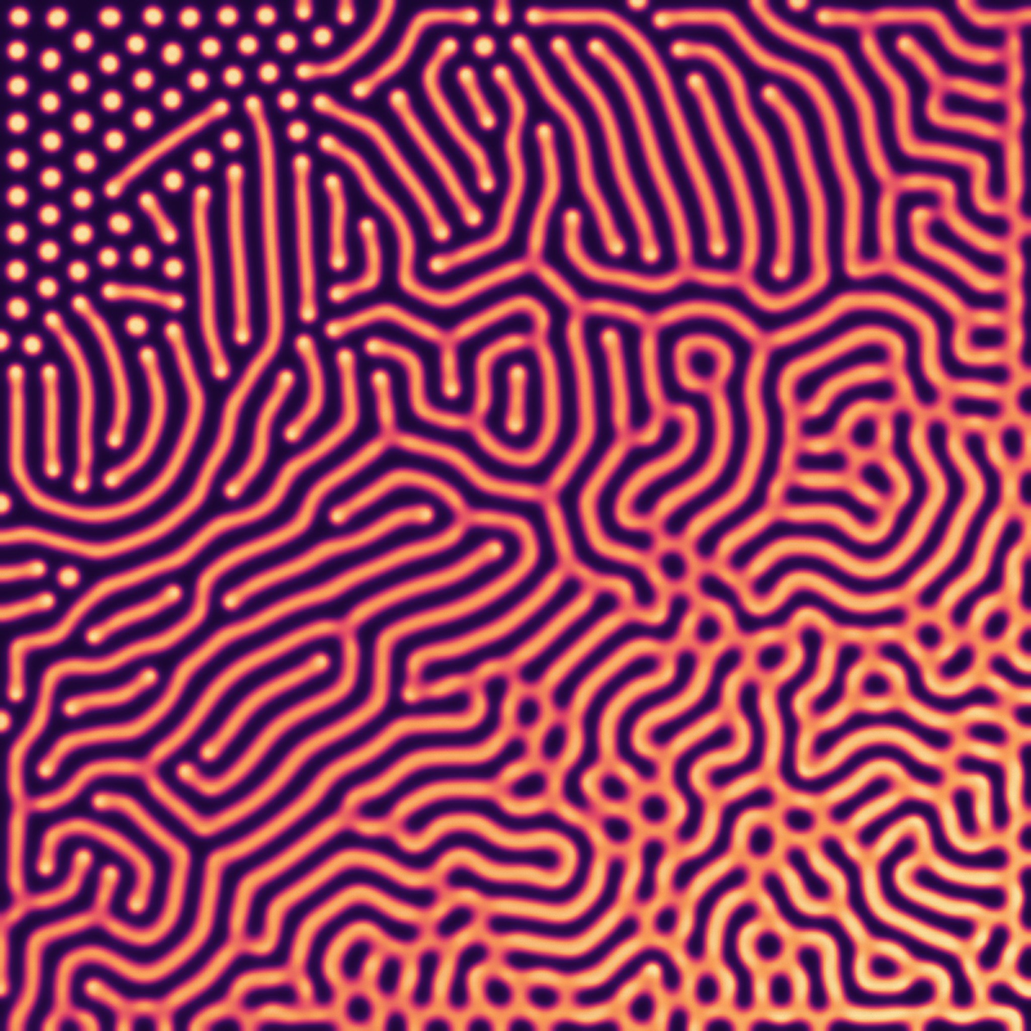 Peau de Turing, Revart